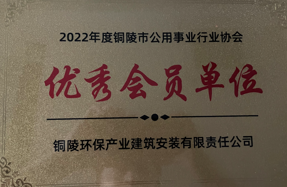 公用事業(yè)行業(yè)協(xié)會優(yōu)秀會員單位